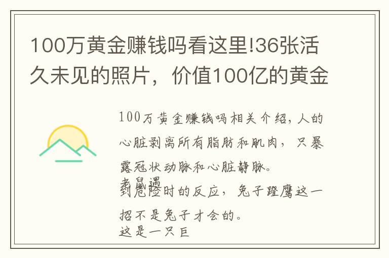100万黄金赚钱吗看这里!36张活久未见的照片，价值100亿的黄金是多少？这辈子看看也值了