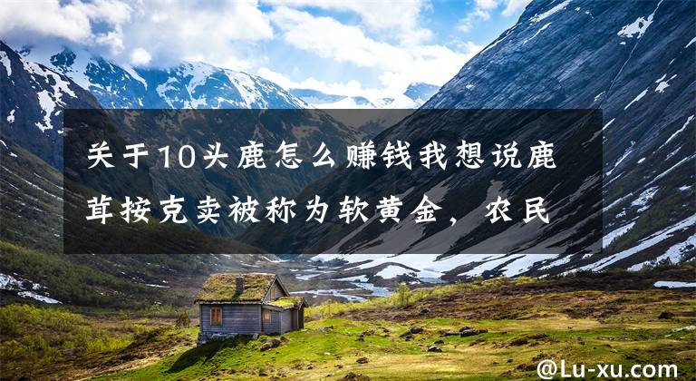 关于10头鹿怎么赚钱我想说鹿茸按克卖被称为软黄金,农民养殖20头梅花鹿,一年能挣多少钱