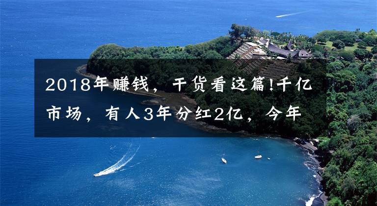 2018年赚钱,干货看这篇!千亿市场,有人3年分红2亿,今年做电商最赚钱的就是它了