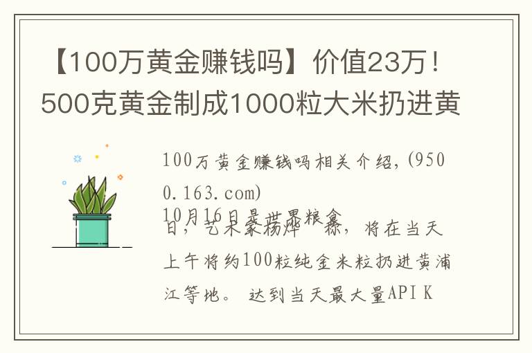 【100万黄金赚钱吗】价值23万！500克黄金制成1000粒大米扔进黄浦江？网友炸锅了