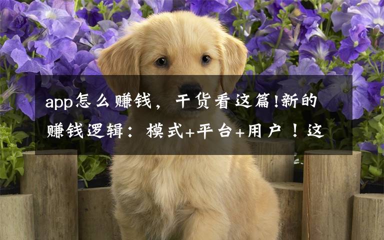 app怎么赚钱,干货看这篇!新的赚钱逻辑:模式+平台+用户!这么去做你也能赚到钱