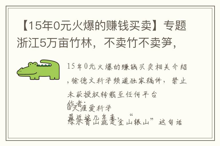 【15年0元火爆的赚钱买卖】专题浙江5万亩竹林,不卖竹不卖笋,老板可每年躺赚70万,是骗局吗?
