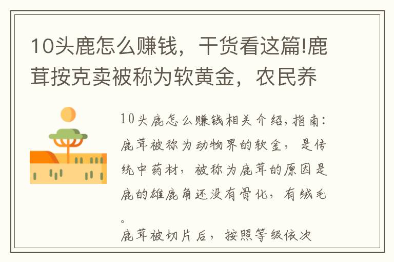 10头鹿怎么赚钱,干货看这篇!鹿茸按克卖被称为软黄金,农民养殖20头梅花鹿,一年能挣多少钱