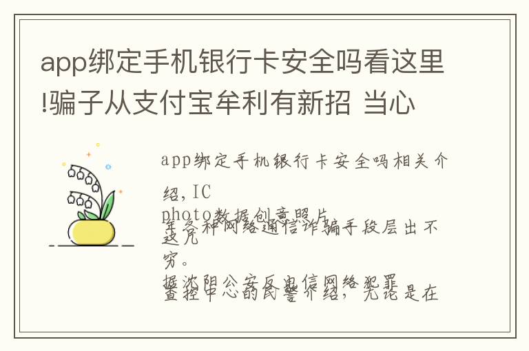 app绑定手机银行卡安全吗看这里!骗子从支付宝牟利有新招 当心你的“花呗”被假客服盯上