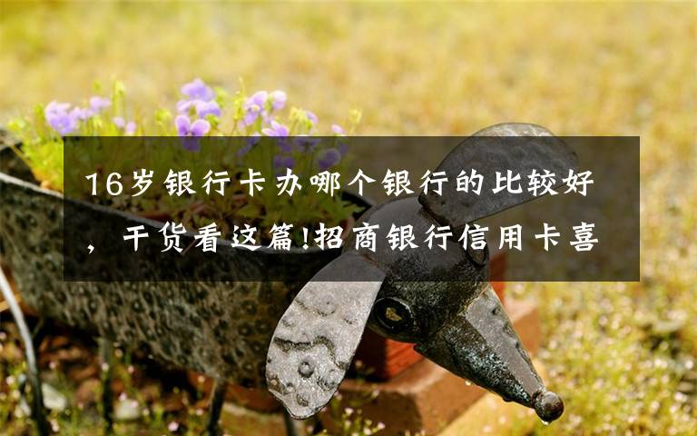 16岁银行卡办哪个银行的比较好，干货看这篇!招商银行信用卡喜迎16周年庆