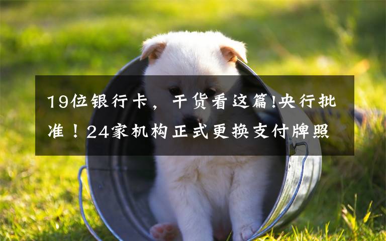 19位银行卡，干货看这篇!央行批准！24家机构正式更换支付牌照