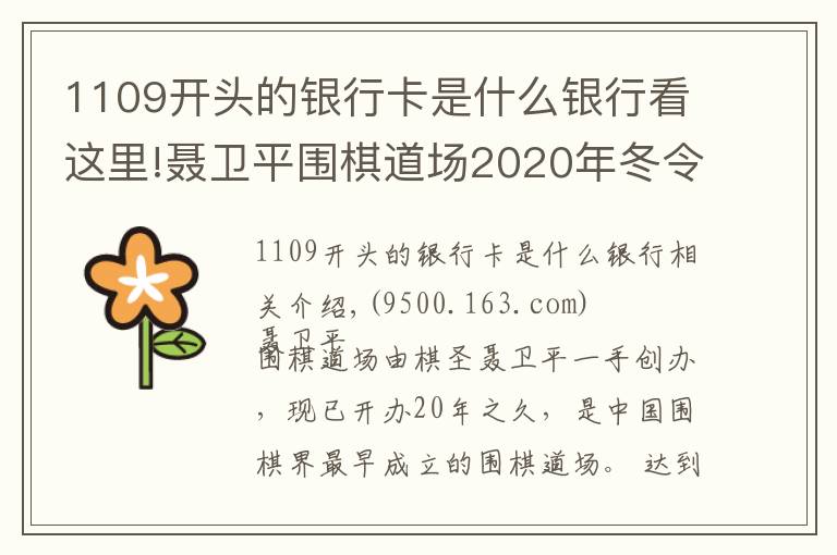 1109开头的银行卡是什么银行看这里!聂卫平围棋道场2020年冬令营招生简章