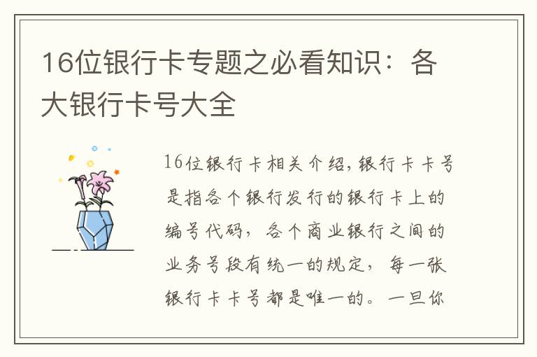 16位银行卡专题之必看知识：各大银行卡号大全