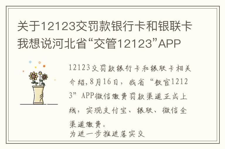 关于12123交罚款银行卡和银联卡我想说河北省“交管12123”APP实现了支付宝、银联、微信的全渠道缴费！