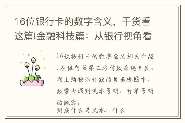 16位银行卡的数字含义，干货看这篇!金融科技篇：从银行视角看支付-流水号与订单号的本质是什么？