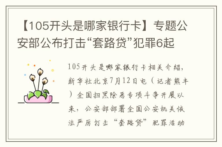 【105开头是哪家银行卡】专题公安部公布打击“套路贷”犯罪6起典型案例