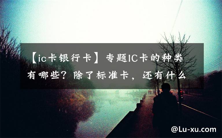 【ic卡银行卡】专题IC卡的种类有哪些?除了标准卡,还有什么?
