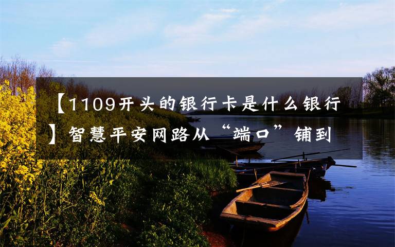 【1109开头的银行卡是什么银行】智慧平安网路从“端口”铺到“门口”