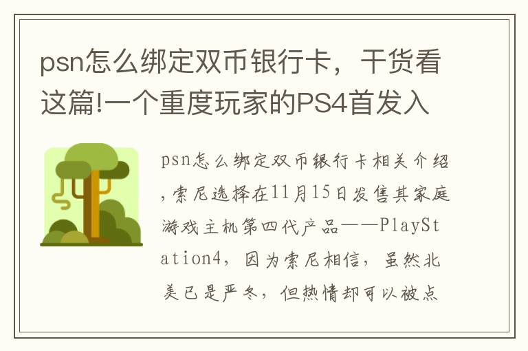 psn怎么绑定双币银行卡,干货看这篇!一个重度玩家的PS4首发入手体验