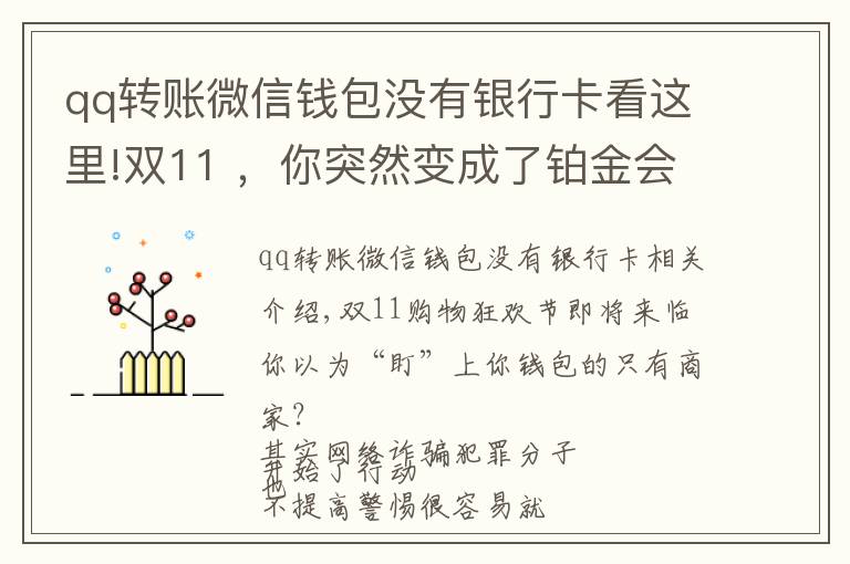 qq转账微信钱包没有银行卡看这里!双11 ，你突然变成了铂金会员......