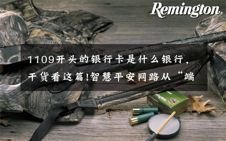 1109开头的银行卡是什么银行,干货看这篇!智慧平安网路从“端口”铺到“门口”