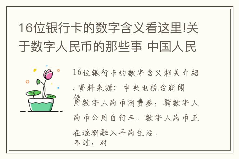 16位银行卡的数字含义看这里!关于数字人民币的那些事 中国人民银行为你解答→