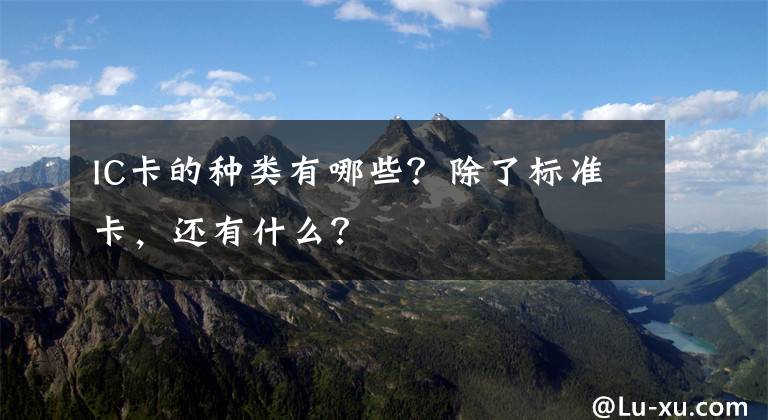 IC卡的种类有哪些?除了标准卡,还有什么?