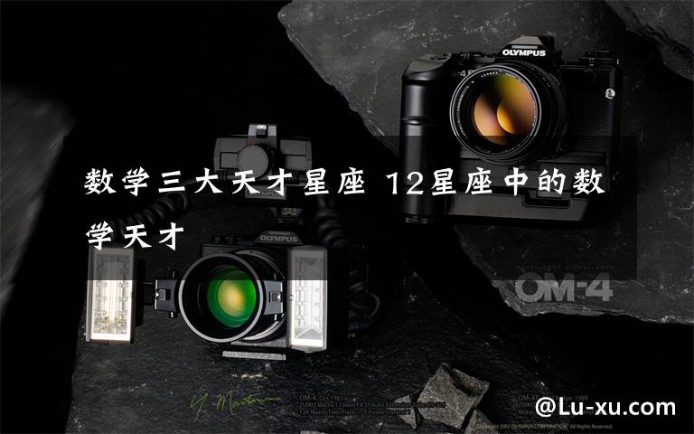 数学三大天才星座 12星座中的数学天才