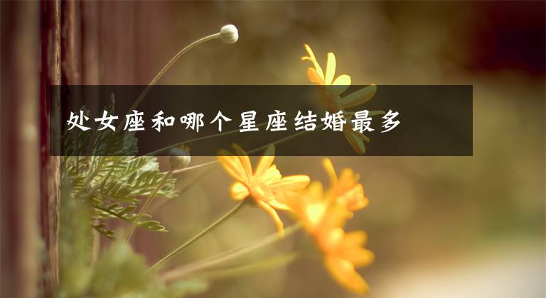 处女座和哪个星座结婚最多