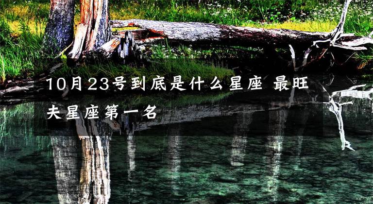 10月23号到底是什么星座 最旺夫星座第一名