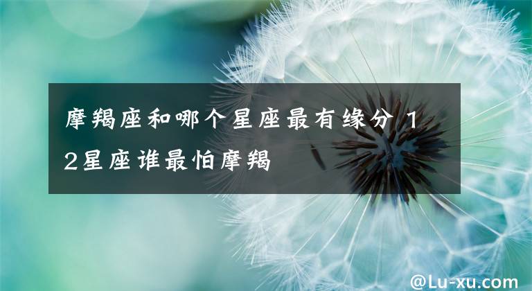 摩羯座和哪个星座最有缘分 12星座谁最怕摩羯