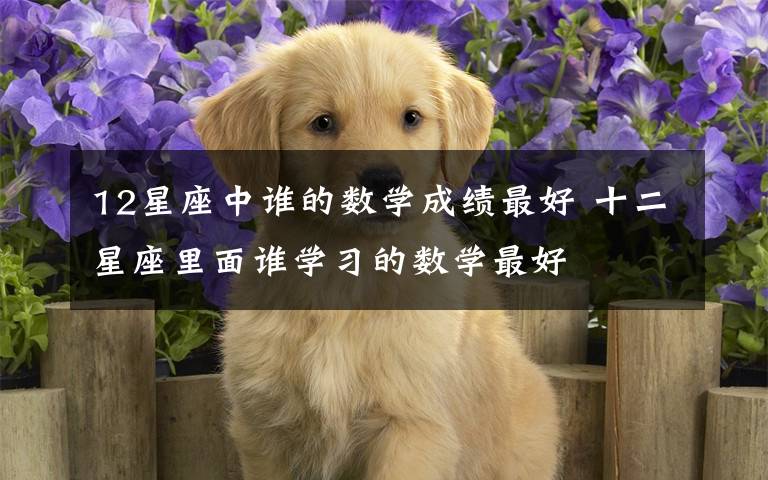 12星座中谁的数学成绩最好 十二星座里面谁学习的数学最好