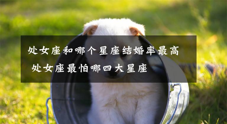 处女座和哪个星座结婚率最高 处女座最怕哪四大星座