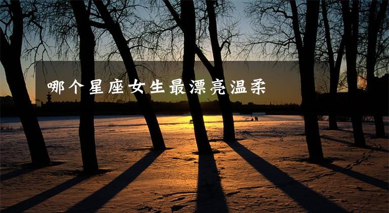 哪个星座女生最漂亮温柔