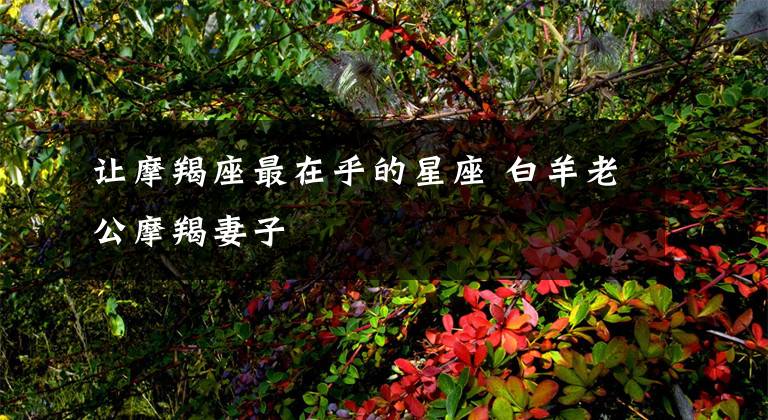 让摩羯座最在乎的星座 白羊老公摩羯妻子