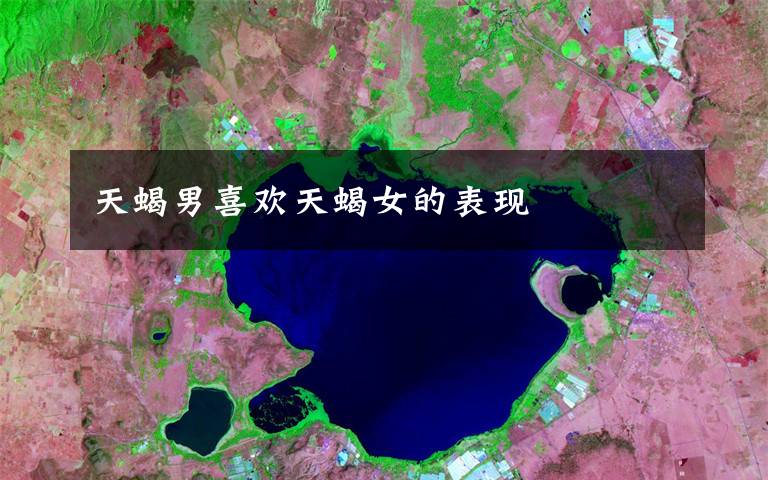 天蝎男喜欢天蝎女的表现