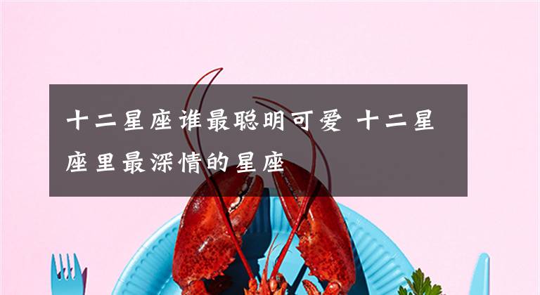 十二星座谁最聪明可爱 十二星座里最深情的星座