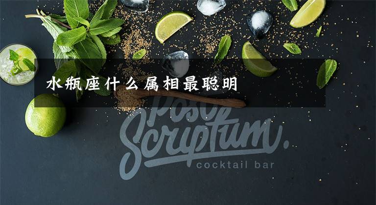 水瓶座什么属相最聪明