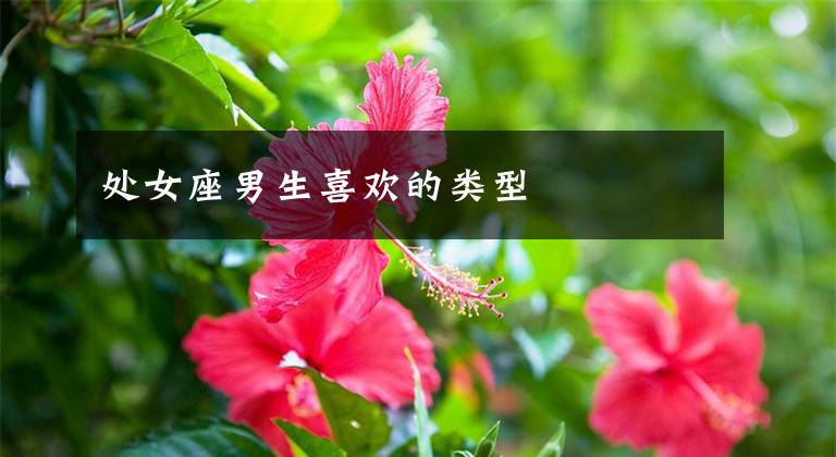 处女座男生喜欢的类型