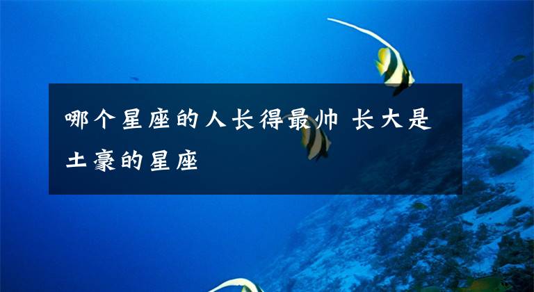 哪个星座的人长得最帅 长大是土豪的星座