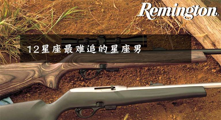 12星座最难追的星座男