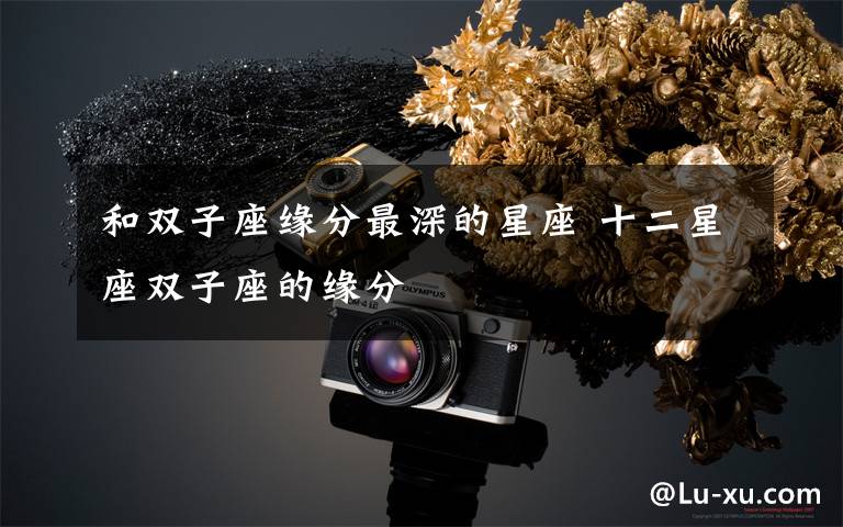 和双子座缘分最深的星座 十二星座双子座的缘分