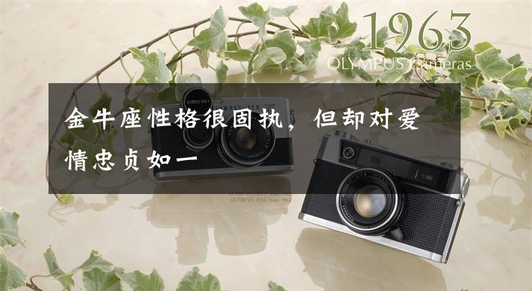 金牛座性格很固执,但却对爱情忠贞如一