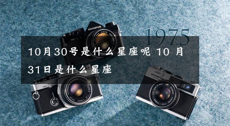 10月30号是什么星座呢 10 月31日是什么星座