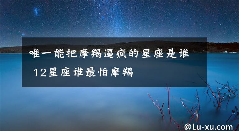 唯一能把摩羯逼疯的星座是谁 12星座谁最怕摩羯