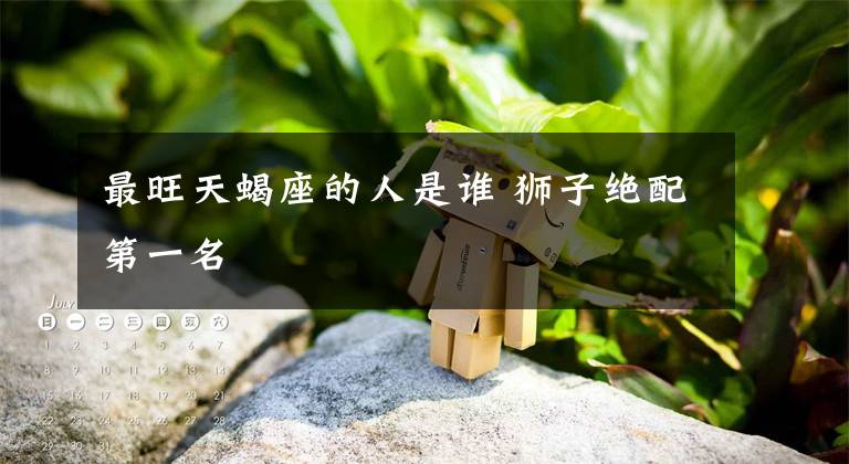 最旺天蝎座的人是谁 狮子绝配第一名