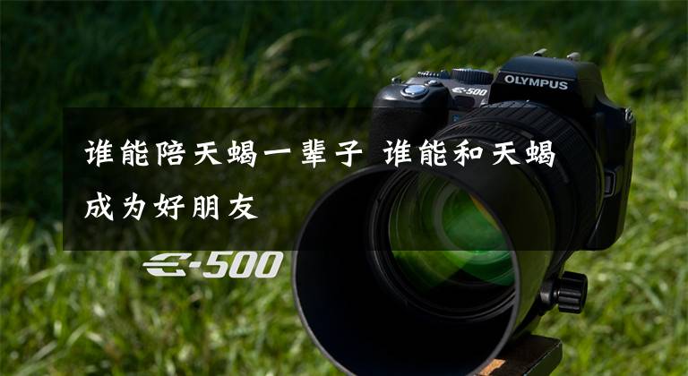 谁能陪天蝎一辈子 谁能和天蝎成为好朋友