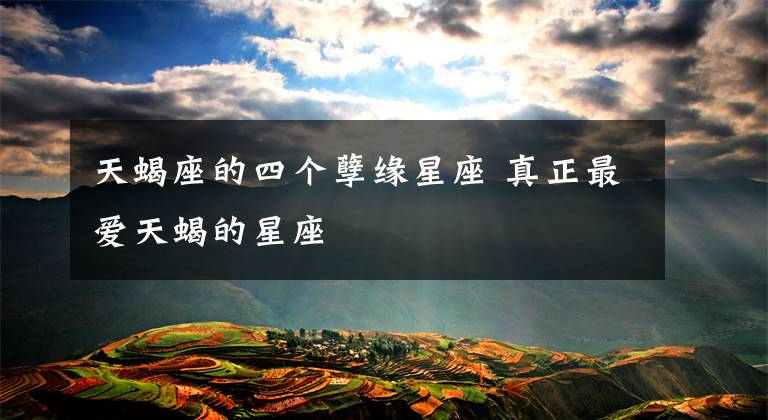 天蝎座的四个孽缘星座 真正最爱天蝎的星座