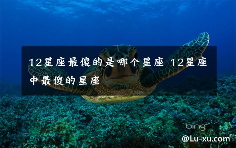 12星座最傻的是哪个星座 12星座中最傻的星座