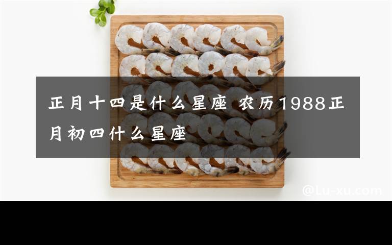 正月十四是什么星座 农历1988正月初四什么星座