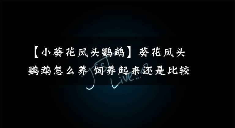 【小葵花凤头鹦鹉】葵花凤头鹦鹉怎么养 饲养起来还是比较麻烦