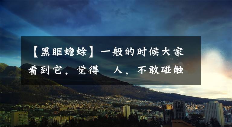 【黑眶蟾蜍】一般的时候大家看到它，觉得瘆人，不敢碰触，但它对人类是有益的