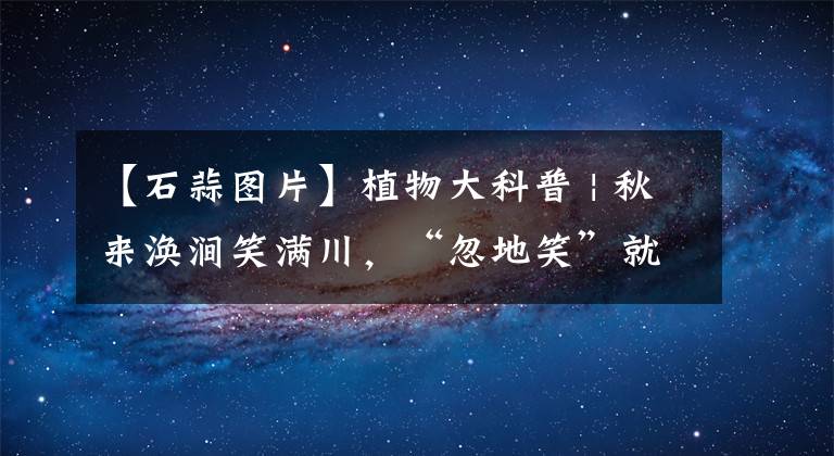 【石蒜图片】植物大科普 | 秋来涣涧笑满川，“忽地笑”就是中国石蒜？