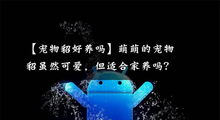 【宠物貂好养吗】萌萌的宠物貂虽然可爱，但适合家养吗？快来了解下