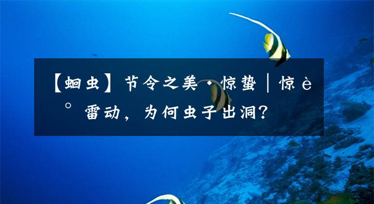 【蛔虫】节令之美·惊蛰|惊蛰雷动,为何虫子出洞?
